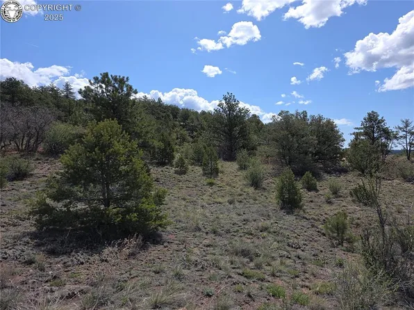 615 Rosebush Rd, Canon City, CO 81212
