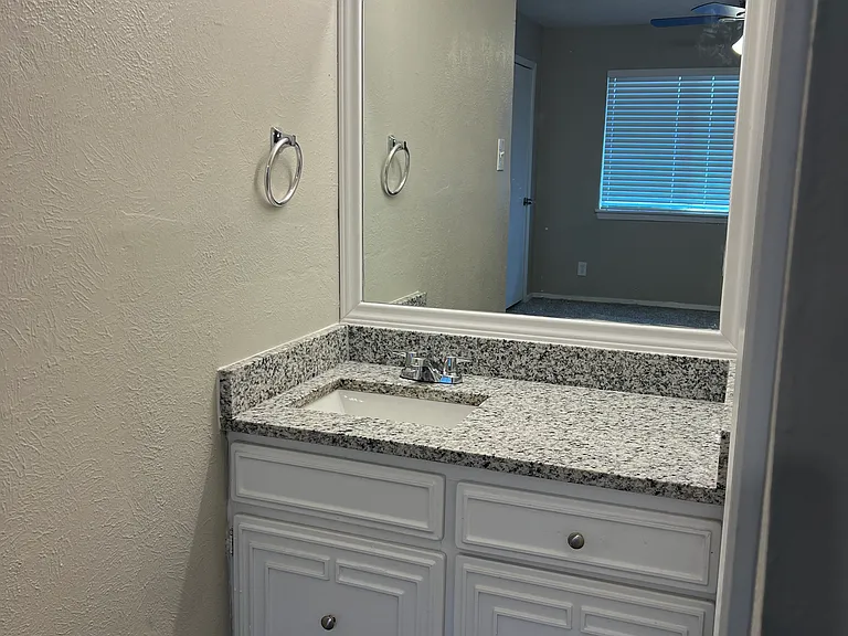 3037 Burning Tree Ln — Photo 19