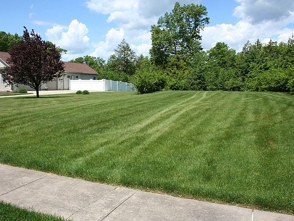 3rd image of 49 Foster Rd