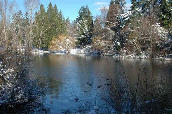 Lake down the street