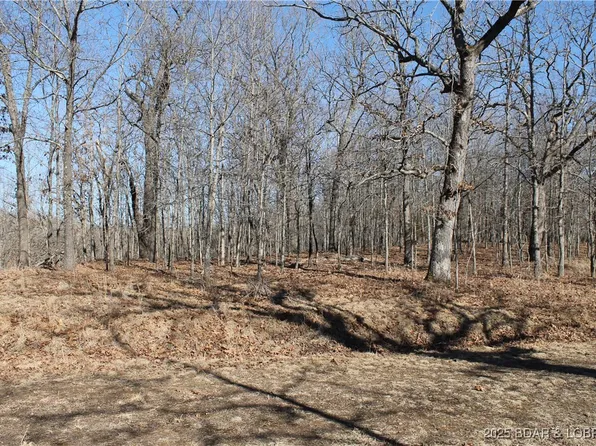 Dunn Dr #1342, Edwards, MO 65326