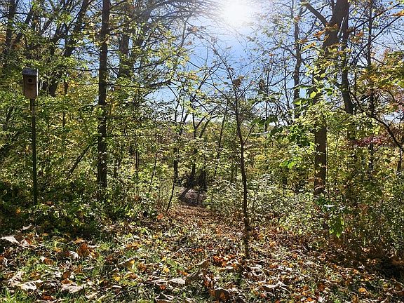 5th image of 29651 County Road 5
