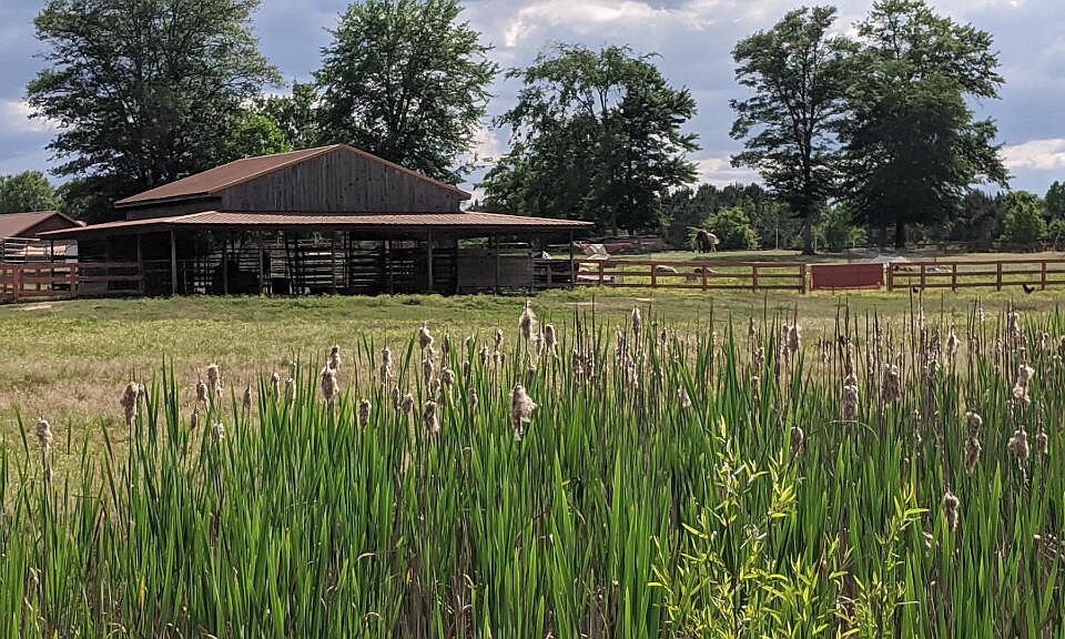 815 Pine Grove Rd, Ward, SC 29166 Zillow