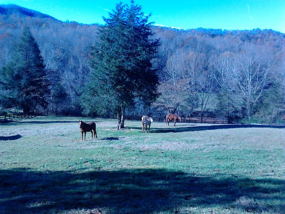 2nd image of 6787 Taylor Creek Rd