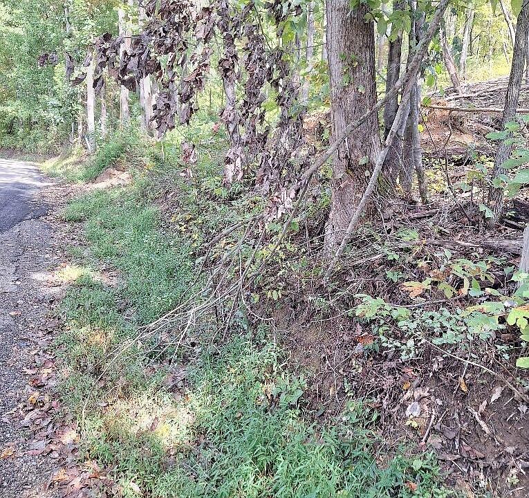 2nd image of Old Cave Springs Rd