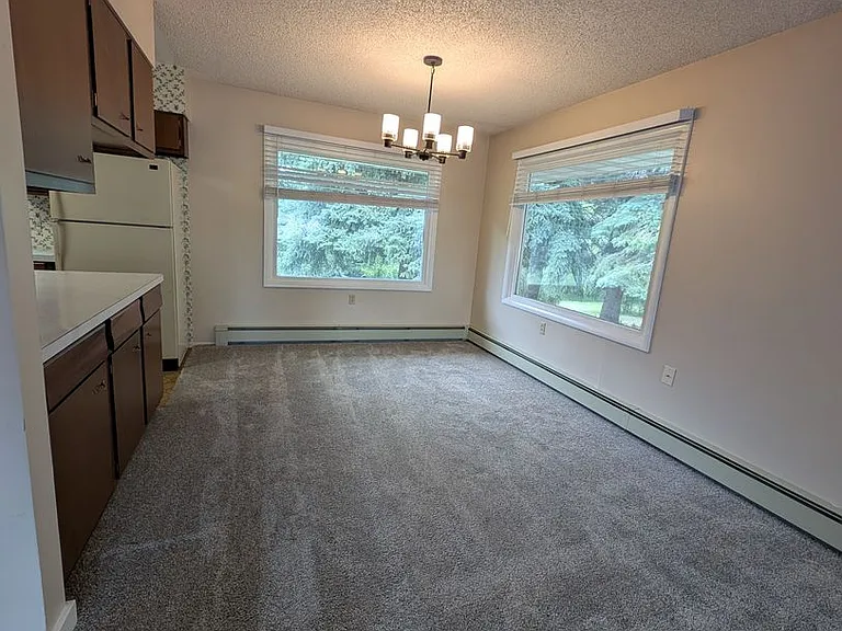 8731 Haggerty Ln — Photo 4