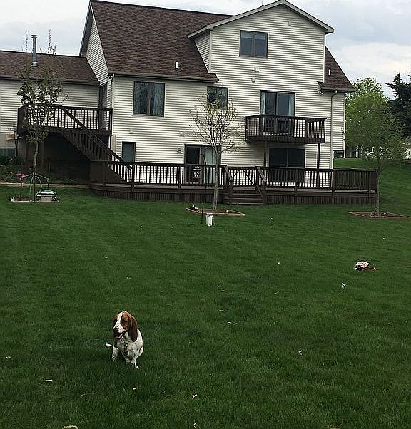 3 newly stained decks