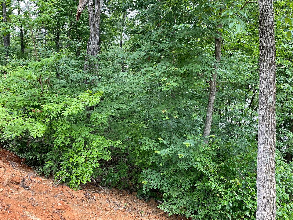 2nd image of Track 5 County Rd #5