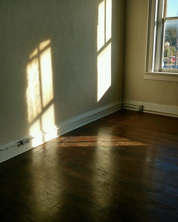 Beautiful South Sun