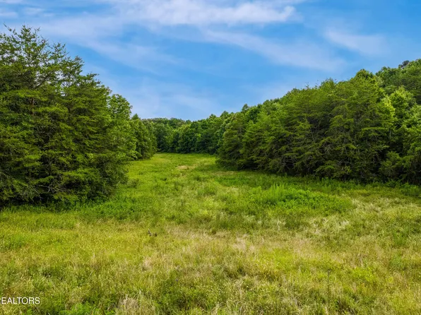 Alex Bales Rd, Kodak, TN 37764