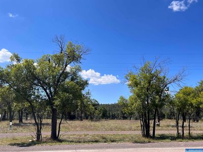 11411 State Highway 180, Luna, NM, 87824