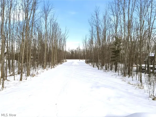 32420 Schwartz Rd, Avon, OH 44011