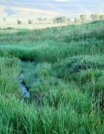 4th image of Little Doe Acres