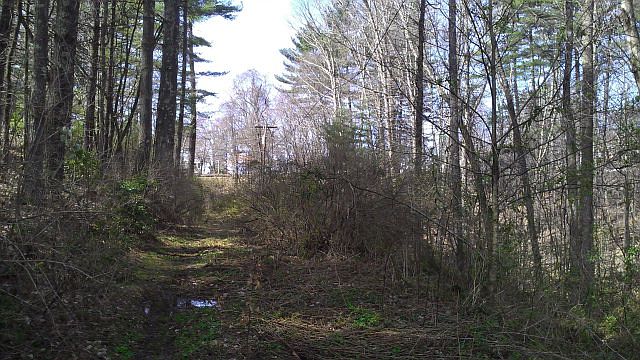 2nd image of Oppie Rd