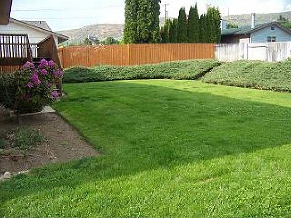 Nice back yard