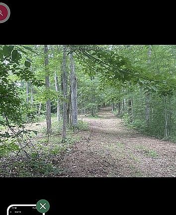 2nd image of 1705 Long Ridge Rd