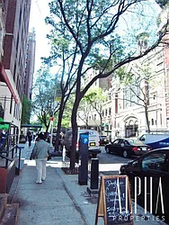 Rented by Alpha Properties NYC I LLC