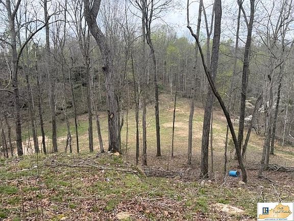 4th image of 2328 Fisher Ridge Rd