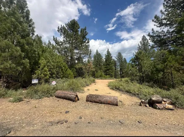 266 Delleker Park Dr, Delleker, CA 96122