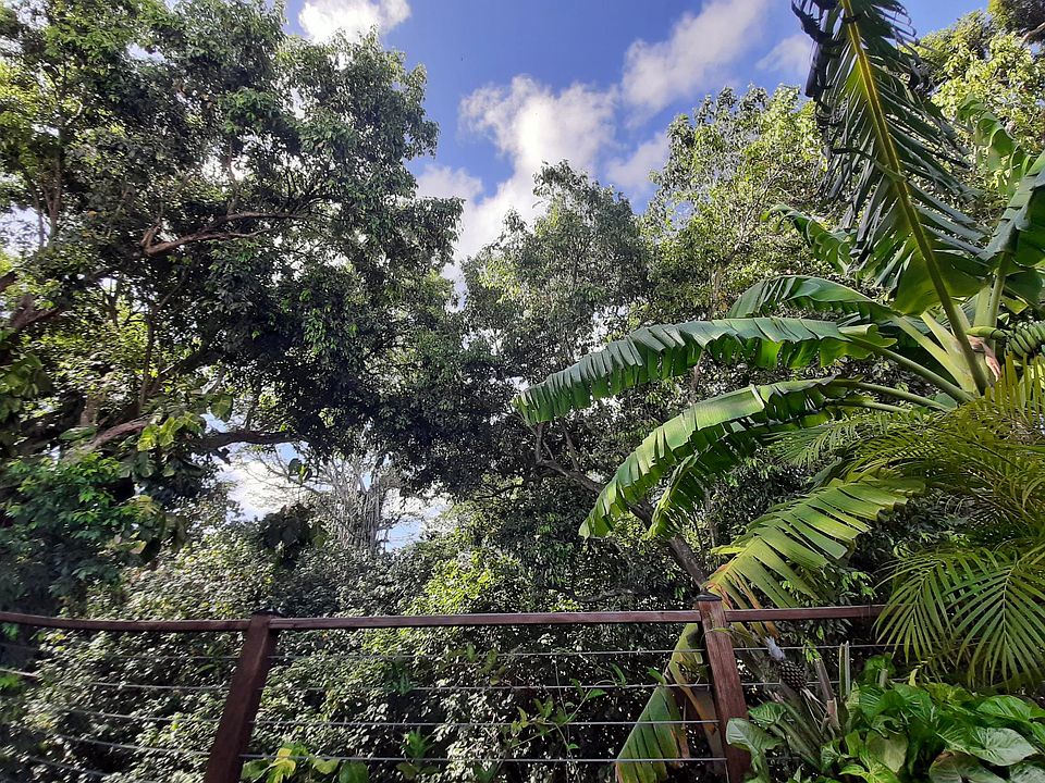 Enjoy your morning coffee view