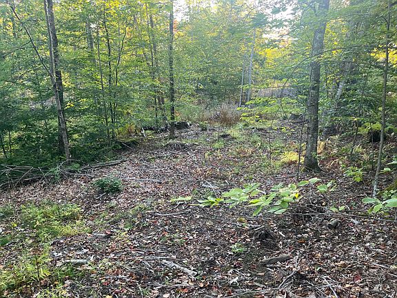 4th image of 0 Flagg Mill Road