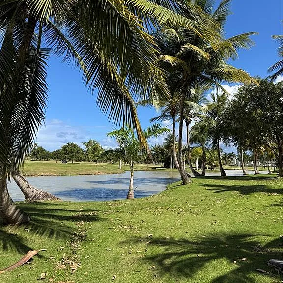 VILLAS DE GOLF OESTE Dorado Del Mar Boulevard #121 — Photo 25