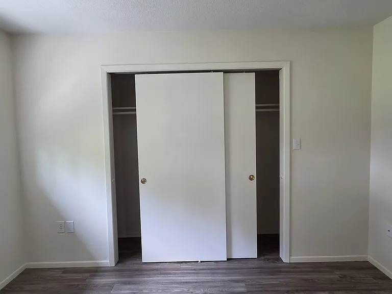 Back bedroom closet