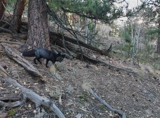 209 Hayes St #45-46-47, Bailey, CO 80421