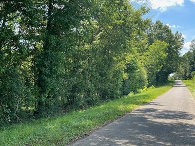 161 Cedar Rd, Georgiana, AL, 36033