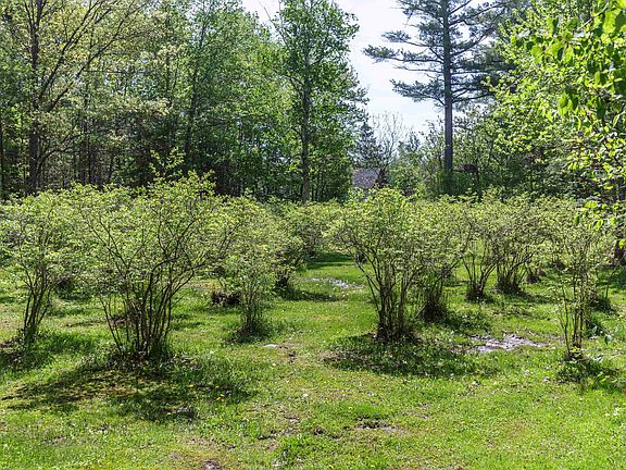 3rd image of 49 Moss Road