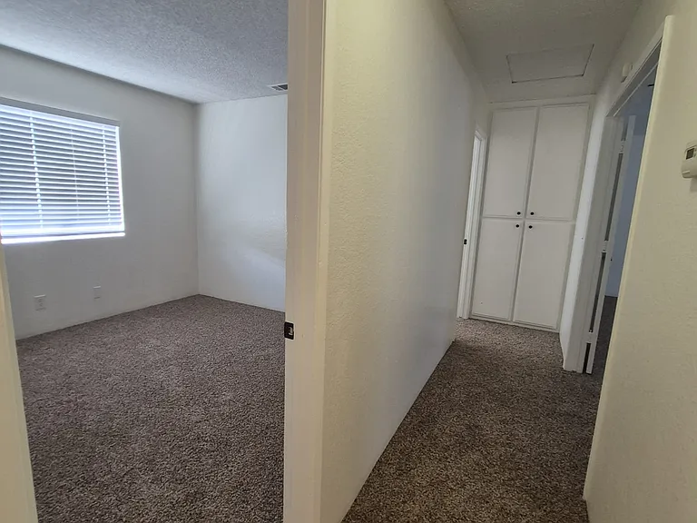 Tiger Ln — Photo 18