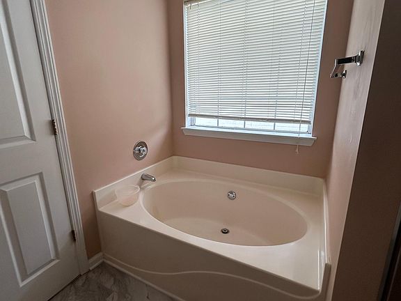 Master bathroom tub