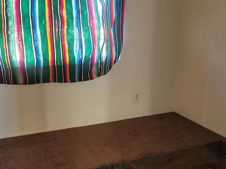 2412 Olive St #10 — Photo 5