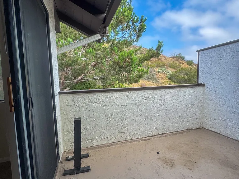2443 Caminito Ocean Cv — Photo 15