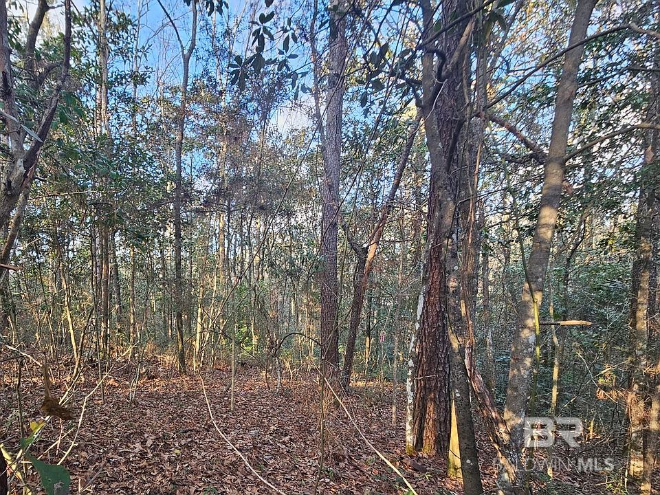 2nd image of 0 County Road 138