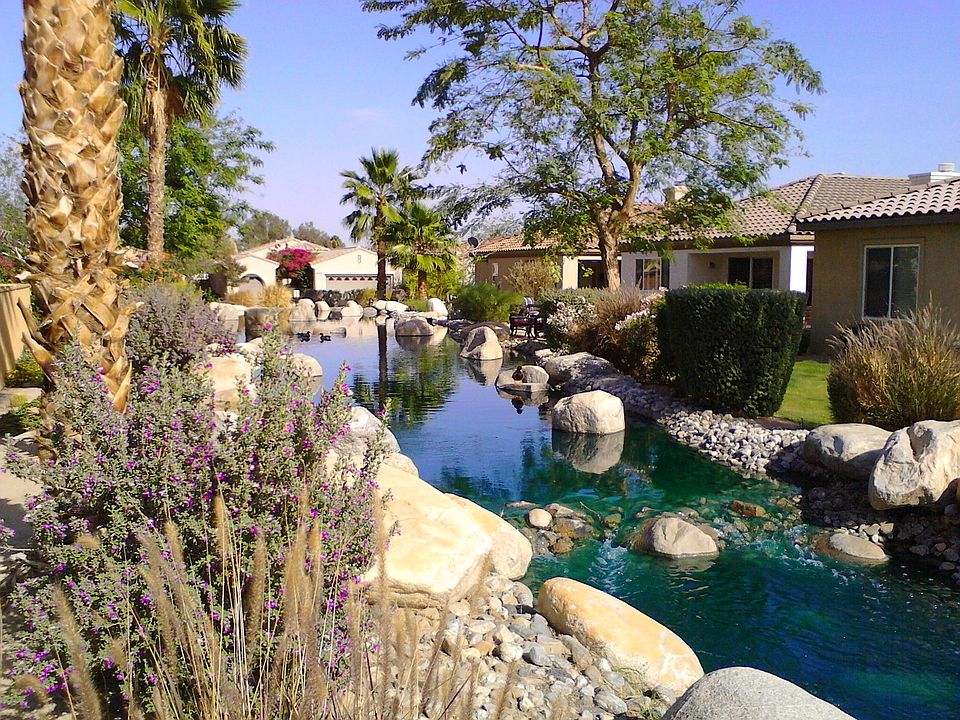 Babbling backyard stream