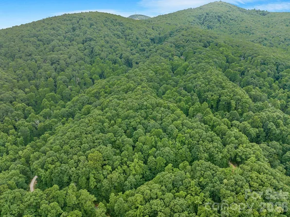 8 Carls Cove Rd, Black Mountain, NC 28711
