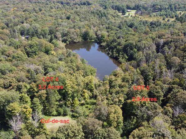 4 & 5 Secluded Lake Rd, Newfoundland, PA 18445
