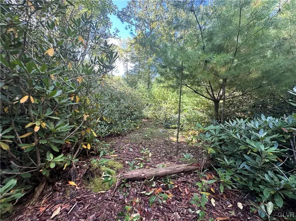 100 Drakes Creek Rd, Jim Thorpe, PA 18229