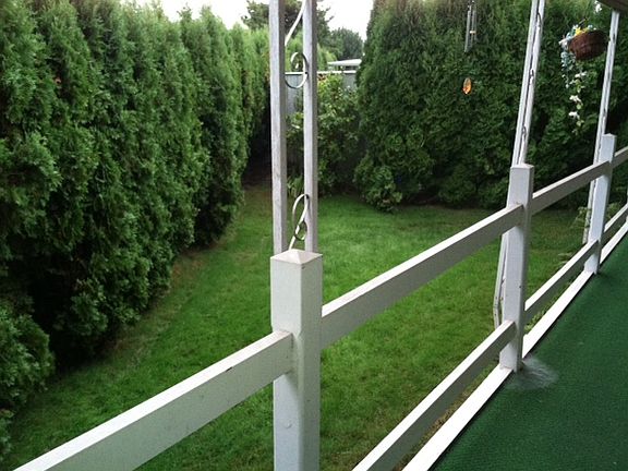 Private back yard
