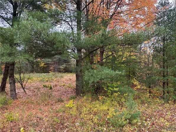 40550 State Route 3 #1, Carthage, NY 13619