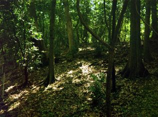 3 Spring Hollow St, Houston, TX 77024