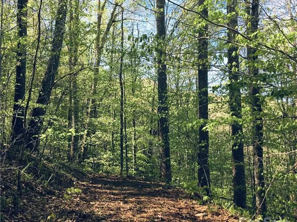 57 Fern Hill Dr, Mars Hill, NC 28754