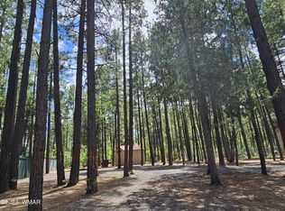 3785 Bear Trl, Lakeside, AZ 85929