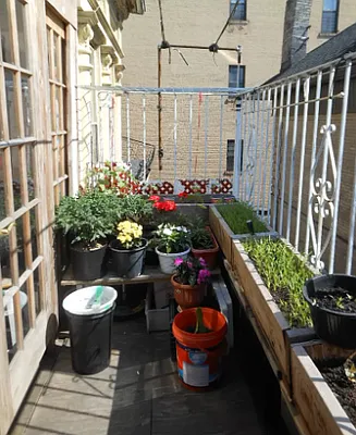 Rented by Flight of Fancy Realty Group | media 24