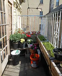 Rented by Flight of Fancy Realty Group