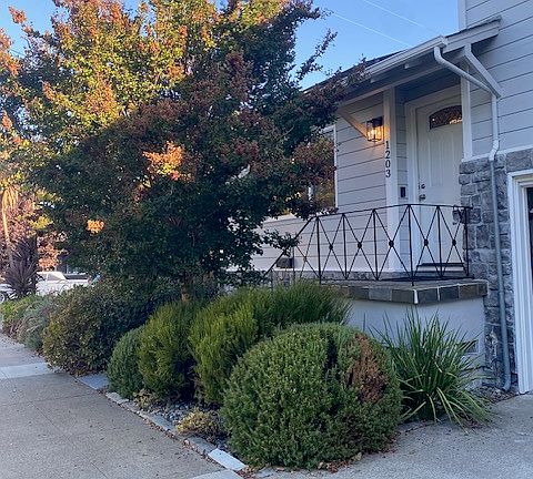 2nd image of 1203 Junipero Ave #1203