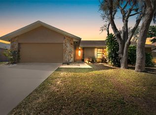 1011 Riflecrest Ave, Valrico, FL 33594