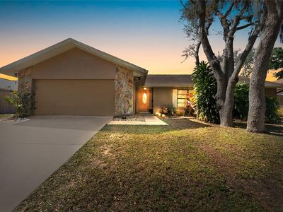 1011 Riflecrest Ave, Valrico, FL, 33594