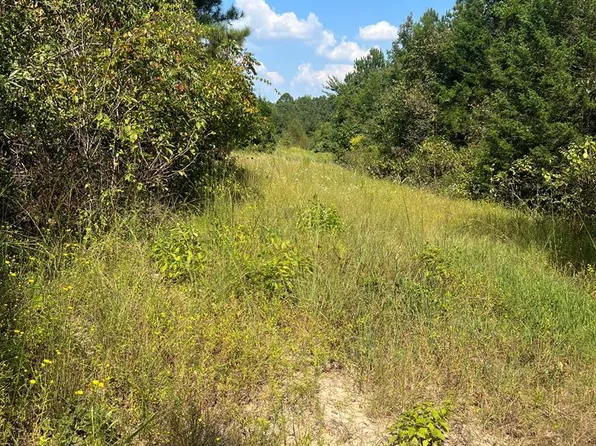 1072 County Road 1111, Atlanta, TX 75551